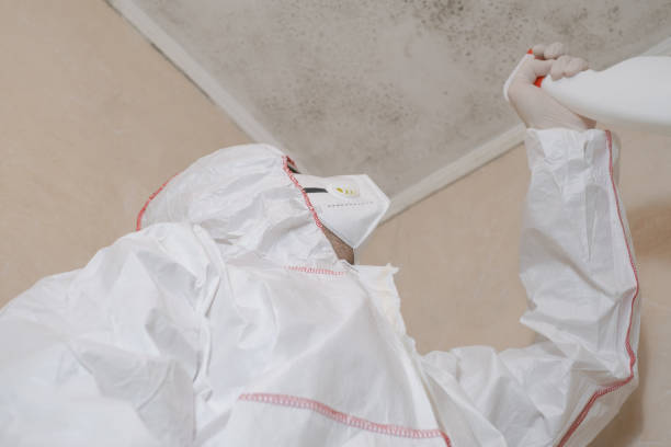 Best Mold Cleaning Services  in Marinette, WI